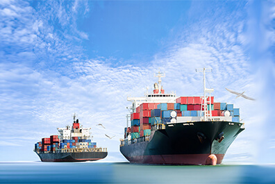 海运运输方式的特定和适用货物