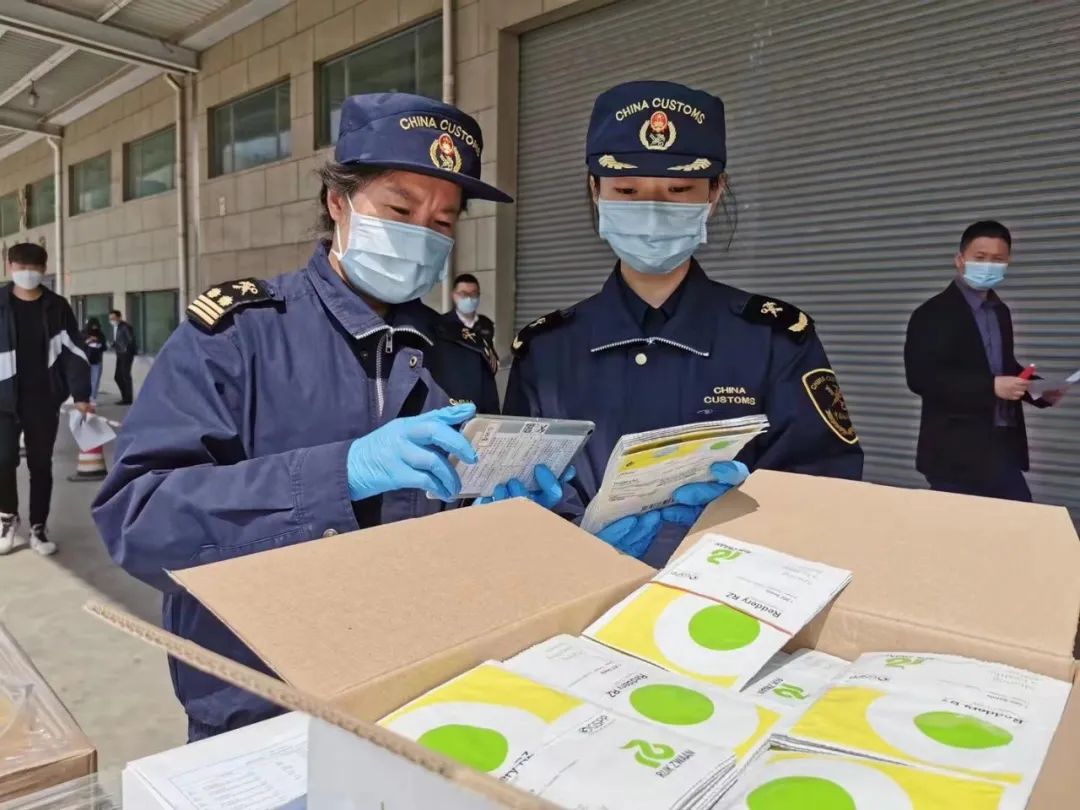 种子进口手续办理