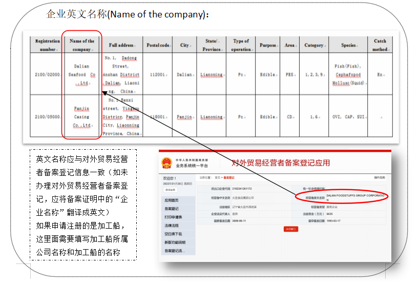 巴西注册填写示例