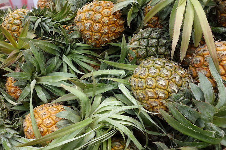 进口印尼菠萝检验检疫要求及流程