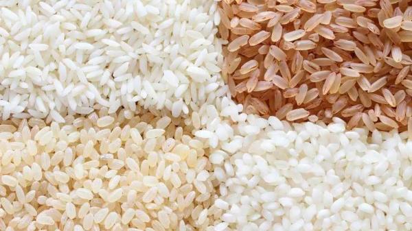 进口大米所需资质及检验要求标准