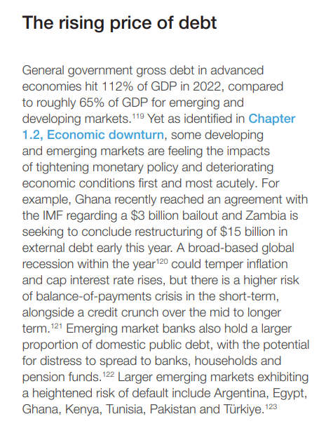 此为《2023全球风险报告》截图，里面提到一些债务风险比较高的国家。