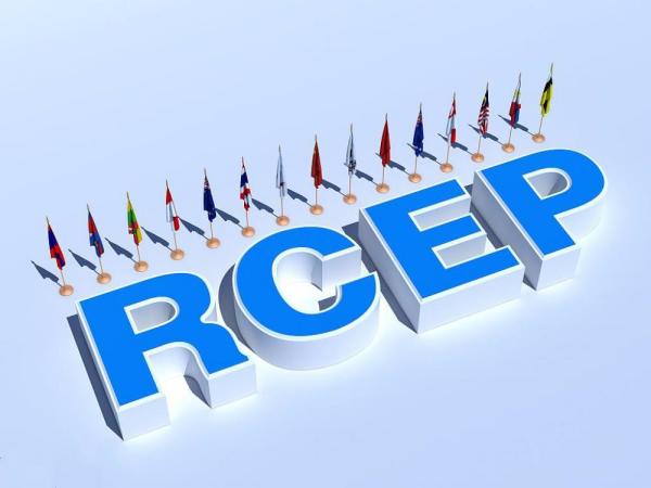 rcep原产地证书办理注意事项有哪些