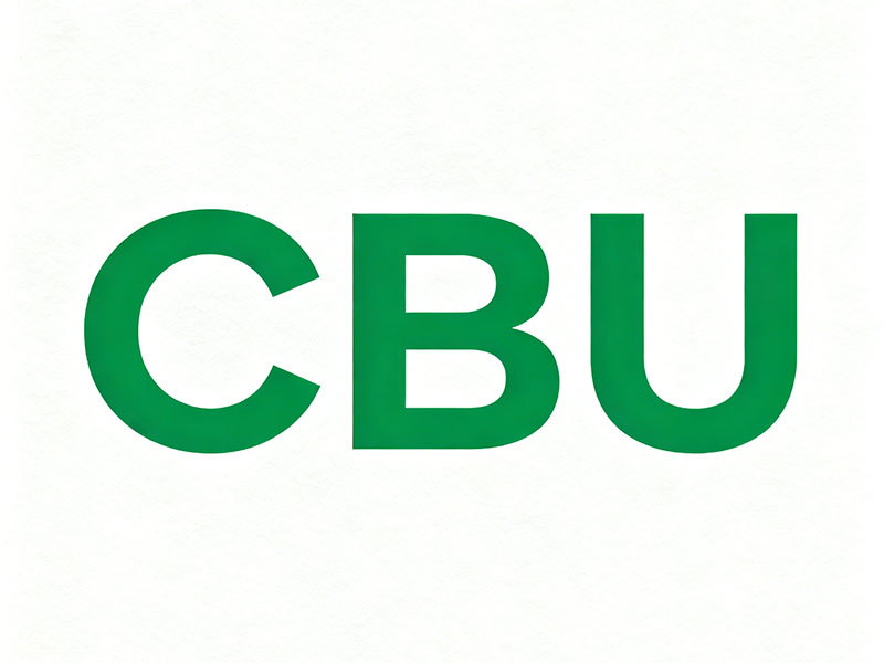 外贸cbu是什么意思